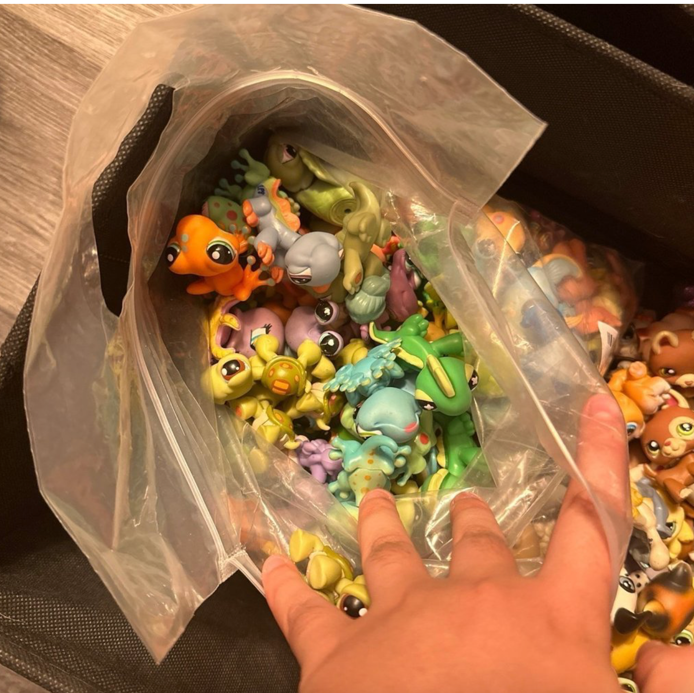 HUGE Littlest Pet Shop Lot – 587 Authentic Pets! Cats, Dogs, Reptiles, & More